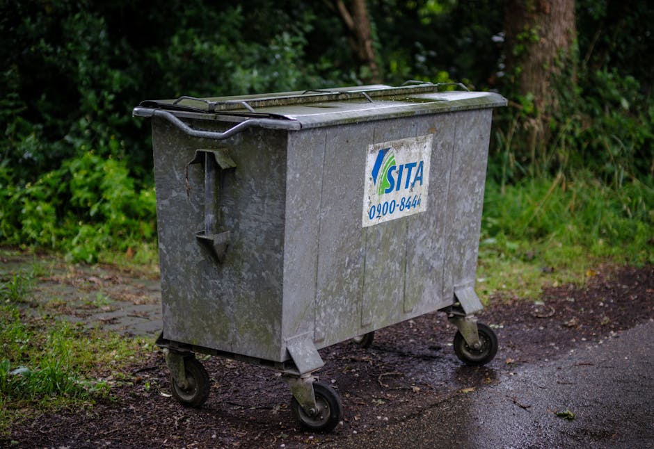 In the foreground, a green garden wheelbarrow with black handles and red wheels is positioned on a paved walkway, with a wooden-handled rake resting inside it. Nearby, a black bag or container is visi